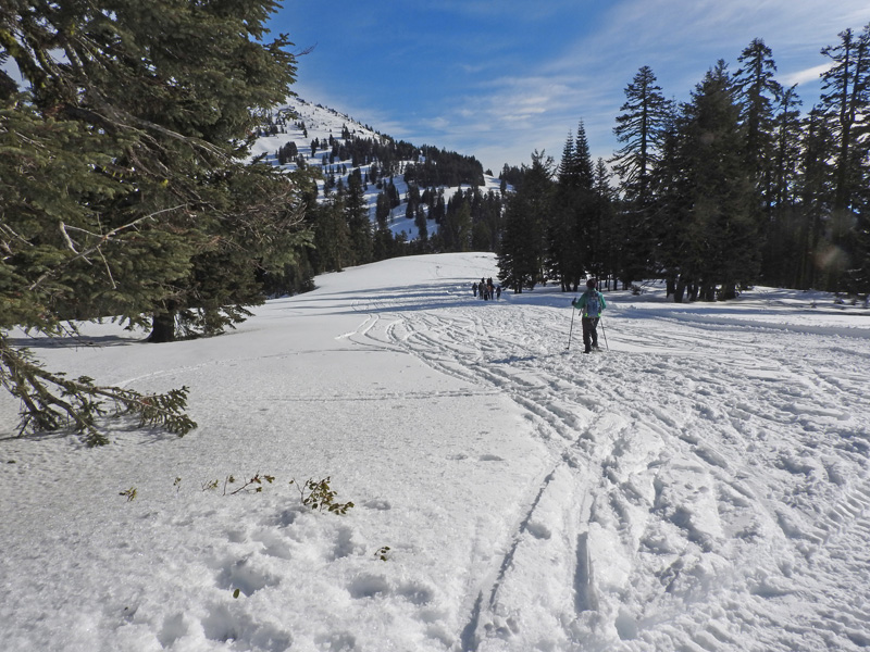 n_X2019-01-14 1042 Turn off for Grouse Gap Shelter.jpg